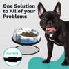 Enhanced Pet Bowl Stand - New Anti-Skid Feature - Dog