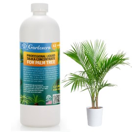 𝐏𝐑𝐎𝐅𝐄𝐒𝐒𝐈𝐎𝐍𝐀𝐋 Liquid Silica Plant Supplement - 32oz - Palm Tree Plants Liquid Silica Boost Fertilizer - Stronger Stems & Healthy Leaves for Indoor & Outdoor Palm Trees (Makes 180 Gallons)