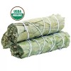 Eucalyptus Smudge Sticks (Pack of 3) House Cleansing, Energy Cleanse