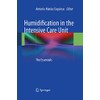 Humidification in the Intensive Care Unit: The Essentials