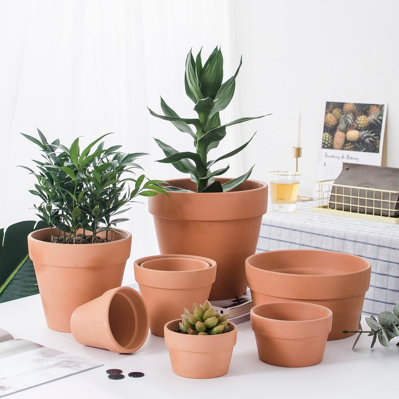 OLEEP Clay Pots - 10 Pack (5.5 inch) Large Terra