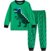 Tshyfiper Toddler Boy Pajamas Kids Dinosaur Pjs Set Boys 2pcs