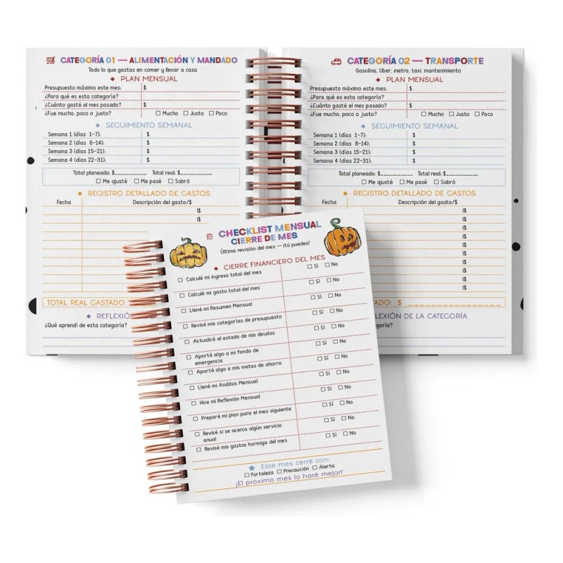 Libreta Organigastos Anual| Control De Gastos Jack And Sally