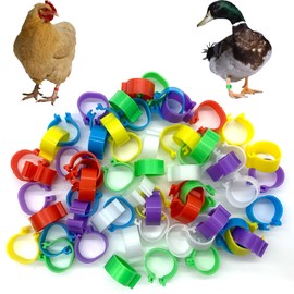 DHER Poultry Foot Rings Chicken Leg Rings Poultry Leg Rings 60 Pieces 16 mm Bayonet Identification Chicken Foot Rings 6 Colours Chicken Foot Rings Poultry Foot Rings Marking Chicken Clip Rings