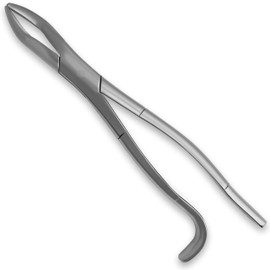 SURGICAL ONLINE 11" Wolf Tooth Extraction Forceps Hand Crafted Stainless Steel Dental Equine