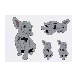 Azeeda 4 x 'Grauer französischer Bulldoggenwelpe' Temporäre Tattoos - Wasserfest, Hautfreundlich & Ungiftig · Transfers in Verschiedenen Größen (TO00072398)