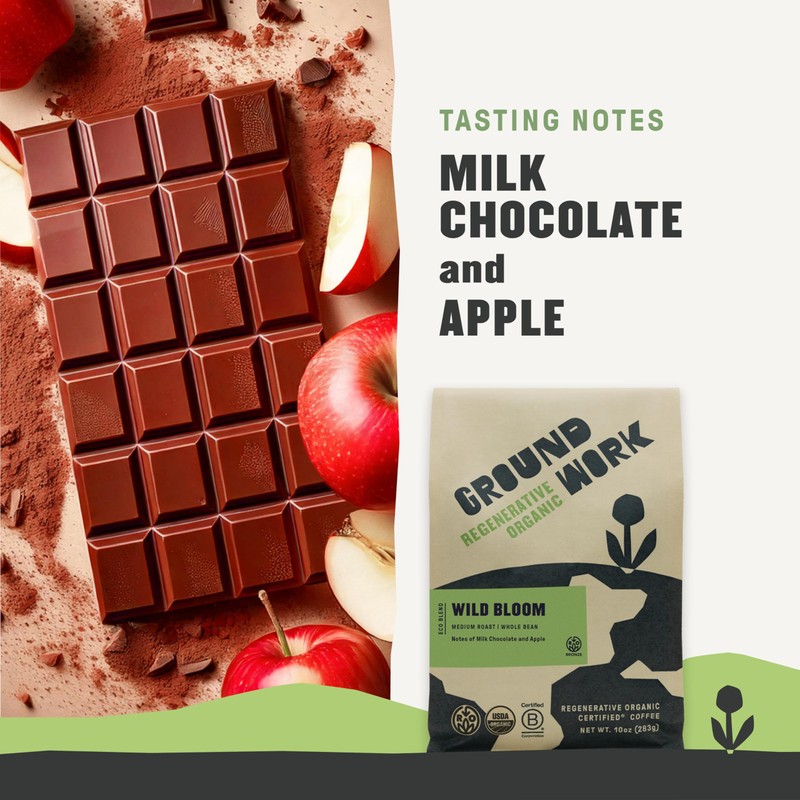 GROUNDWORK COFFEE CO Organic Regenerative Wild Bloom Whole Bean Coffee,
