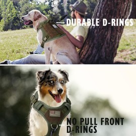 BUMBIN Tactical Dog Harness with Laesh Set，No-Pull Service Fit Smart Dog Vest with Hook & Loop Panels,Adjustable Dog Vest Harness with Handle Green L