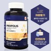 프로폴리스항산화/로얄 프로폴리스 캡슐 플라보노이드 20mg 제품 6개월분 Propolis Antioxidant /