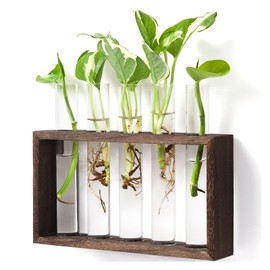 Mkono Wall Hanging Glass Planter Plant Terrarium Modern Flower Bud Vase in Wood Stand Rack Tabletop Terrarium for Propagating Hydroponic Plants, Home Office Decoration with 5 Test Tube, Medium, Brown