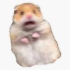 Funny Hamster Sticker, 5 inches - Vinyl Bumper Sticker Decal