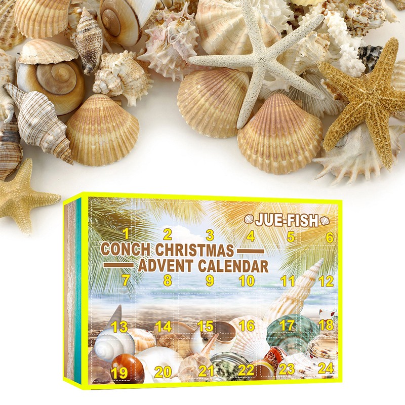 Christmas Countdown Advent Calendar 24 Pcs Shell Toys 2022 Conch