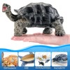 Totsmile 4PCS 5'' Large Sea Turtle & Tortoise Toys Figurines,