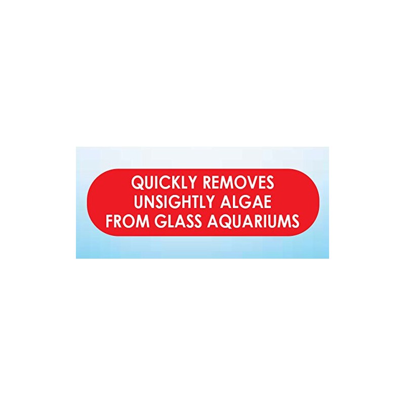 API HAND HELD ALGAE PAD For Glass Aquariums 1-Count Container