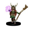 WizKids Wardlings RPG Figures: Boy Druid & Tree Creature