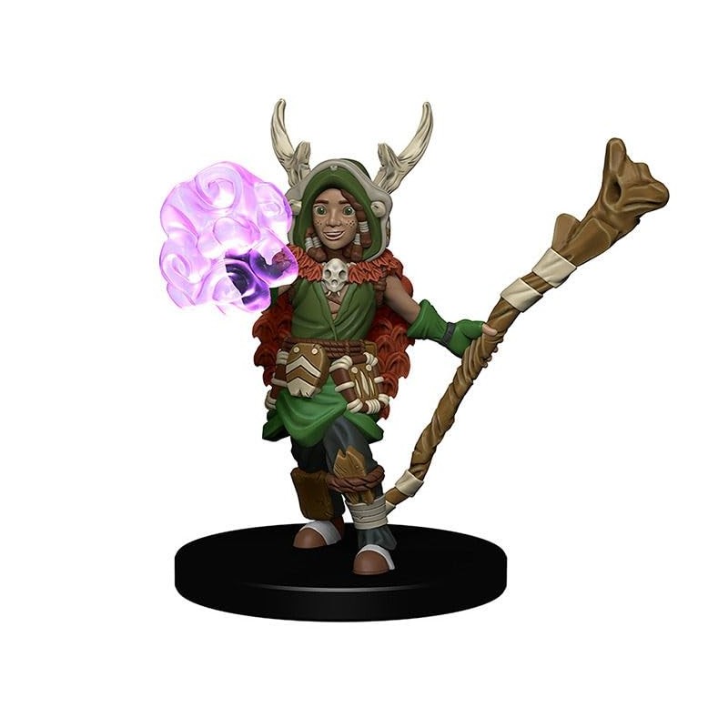 WizKids Wardlings RPG Figures: Boy Druid & Tree Creature