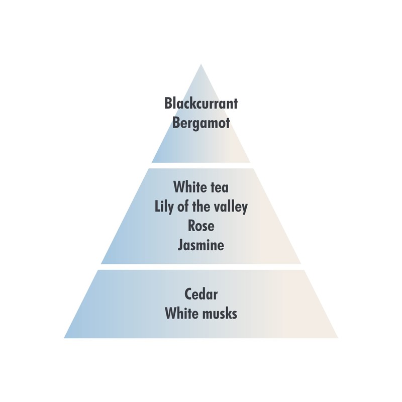 Pure White Tea Lampe Berger Refill 500ml