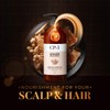 CP-1 GINGER PURIFYING SHAMPOO, Recovery Strengthening care, Scalp care, 16.9
