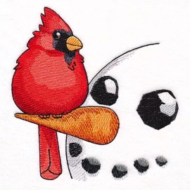 Embroidery By Vicki Christmas WINTER SNOWMAN CARDINAL CHICKADEE BLUE BIRDS QUILT Blocks Embroidered