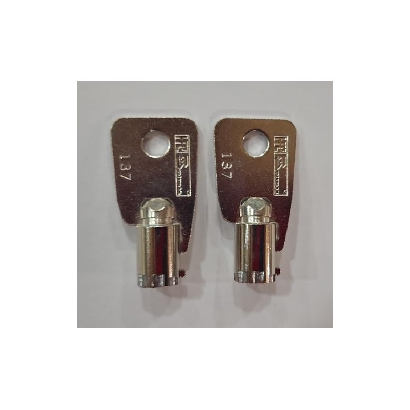 2 Keys Sentry Safe Key Code Cut 2036 Tubular Round