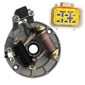 RedCap 2-Coil 5-Wire Stator Magneto With Plate for 50cc 70cc 90cc 110cc 125cc ATV Quad Dirt Bike 4-Wheeler Scooter Replacement for Taotao Kazuma SSR Baja Coolster