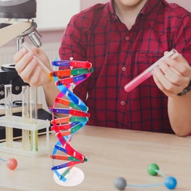 Housoutil DNA Model Double Helix Science Teaching Aid Kit for Educational Use - DIY Gene Assembly Tool for Kids Home Learning and Classroom Science Education