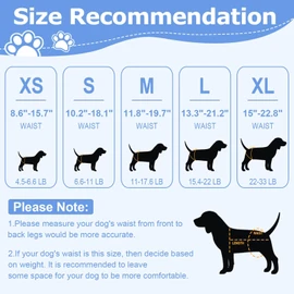 Ambreview Dog Diapers Female, Disposable Diapers for Female Dog with Stretchy Waist, Pull Up Puppy Wraps for Doggie in Heat Period Super Absorbent Leak-Proof Doggy Diaper for Dogs 10PCS (L)
