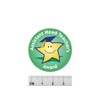 Cute Star stickers with an 'Assistant head teacher's award' Message