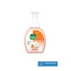 Dettol Foaming Antibacterial Hand Wash Orange Bliss 250ml / 포밍 항균 핸드 워시 오렌지 블리스 250ml