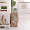 BACAMA Decorative Hanging Plants for Shelf, Faux Ivy Eucalyptus Vine,