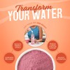 JUNP Electrolytes Powder No Sugar No Carbs, Orchard Fresh Juicy