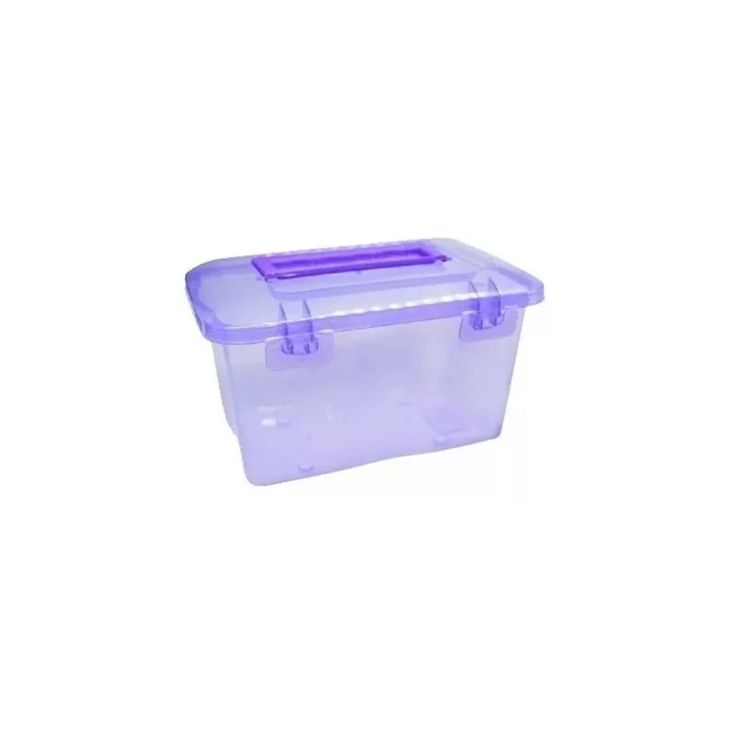 30 Lonchera Multiusos Dulcero Recuerdo Plastico Colores