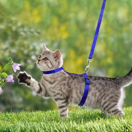 Pack of 2 Adjustable Nylon Harnesses, Cat Lead, Blue Pink Harnesses, Cat Lead, Kitten Collar, Soft Cat Harness with Lead for Kittens, Puppies