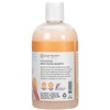 Ginger Lily Farms Botanicals Moisturizing Shampoo for All Hair Types,