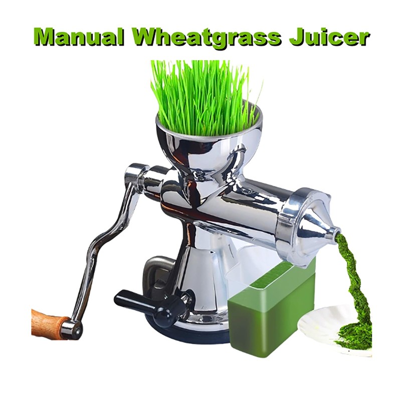 304 Stainless Steel Wheatgrass Juicer, Hand Crank Fruit Press for