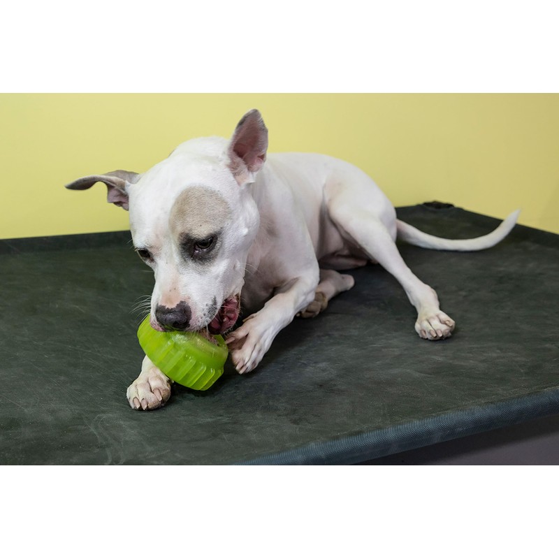 Starmark Everlasting Sprocket Small