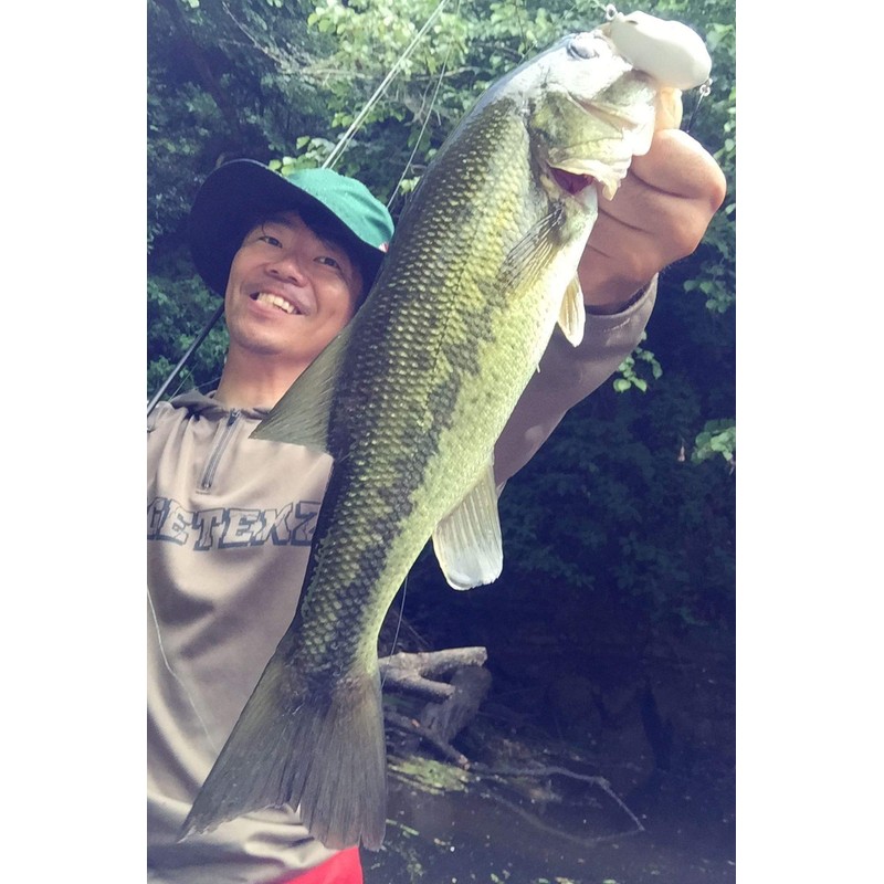 Berkley X9 Trenza línea de Pesca, Cristal, 165-Yard/10-Pound