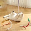 3 Pcs Cat Chew Toy, 70 cm Catnip Toy Bite