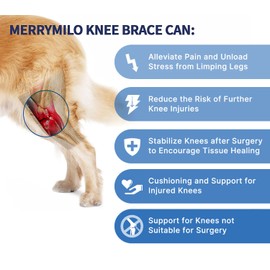 MerryMilo Dog Knee Brace for Torn ACL, Hip Dysplasia, Dog CCL Brace Front Leg or Rear Leg, Black, Small