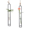 Sziqiqi Hanging Clear Glass Propagation Tube Vase for Cuttings, Hydroponic