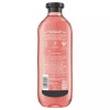 Herbal Essences Volume Shampoo Grapefruit with Aloe & Camellia 13.5