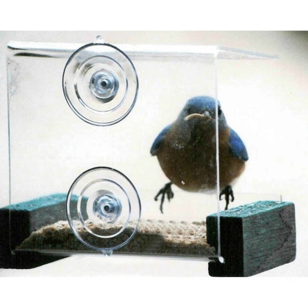 Songbird Essentials Mini Clear Window Mounted Bird Feeder with Green