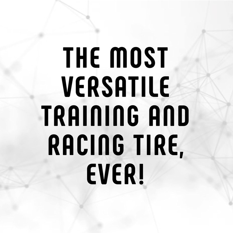 ビットリア（Vittoria） ルビノプロ クリンチャー G2.0700x30c フルブラック