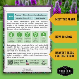 Survival Garden Seeds - Purple Prairie Clover Seeds for Planting | Dalea purpurea | Drought Tolerant North American Native Wildflower - 1 Pack