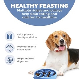 Outward Hound Fun Feeder Slo Bowl, Slow Feeder Dog Bowl, Medium, Blue