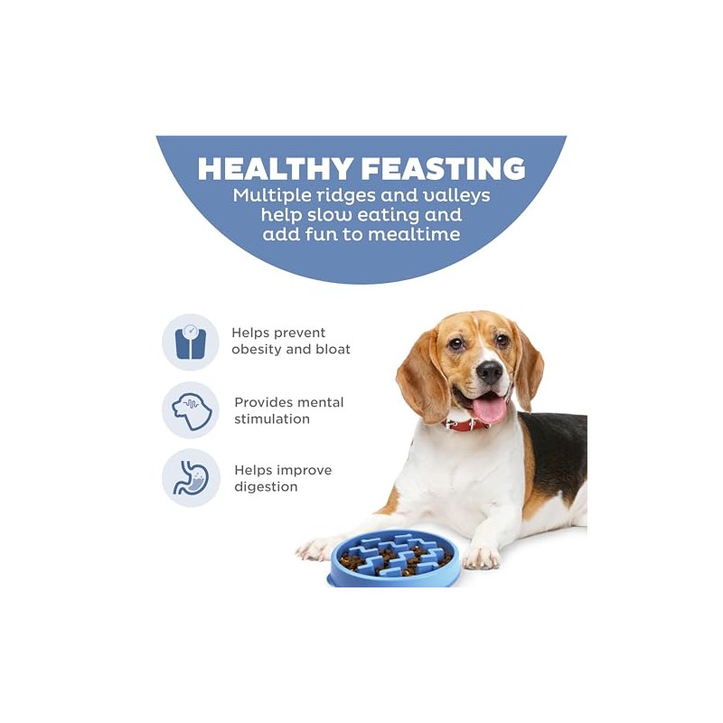 Outward Hound Fun Feeder Slo Bowl, Slow Feeder Dog Bowl,