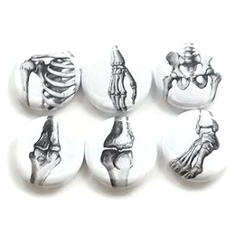 Ortho 6 Magnets Physical Therapy Graduation Gift Office Decor Party Favors
