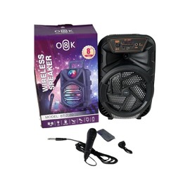 BT Wireless Speaker BT-2087