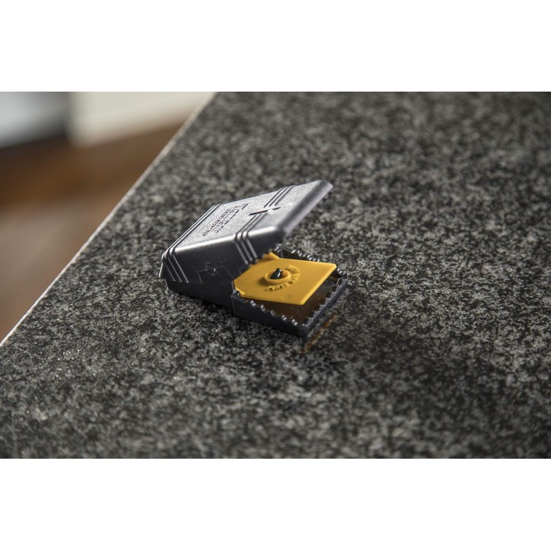 Tomcat Mouse Snap Traps - Mouse Killer - Safer Around