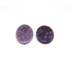 L PEDRA & CRYSTAL Worry Stone A Handheld Comfort to Ease Stress, Enhance Focus, and Promote Inner Peace (Lapidolite Worry)